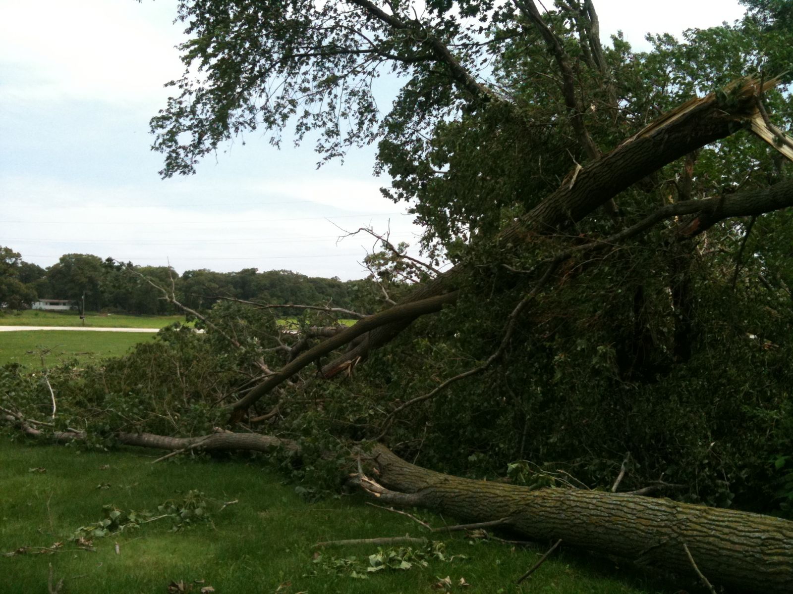June 20, 2011 Tornado near Bonfield, IL